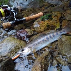 沢でイワナ釣り